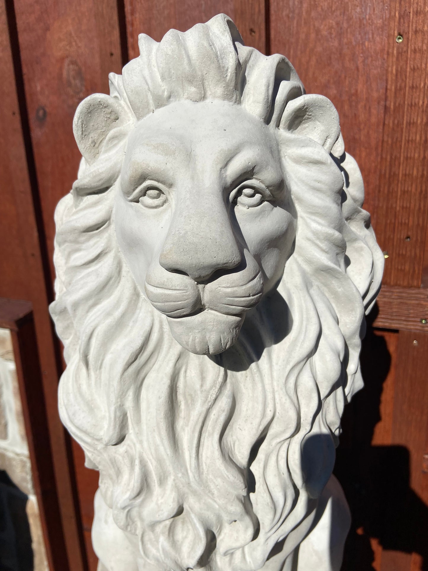 Sitting Lion 22"