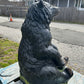 X-Large Sitting Bear