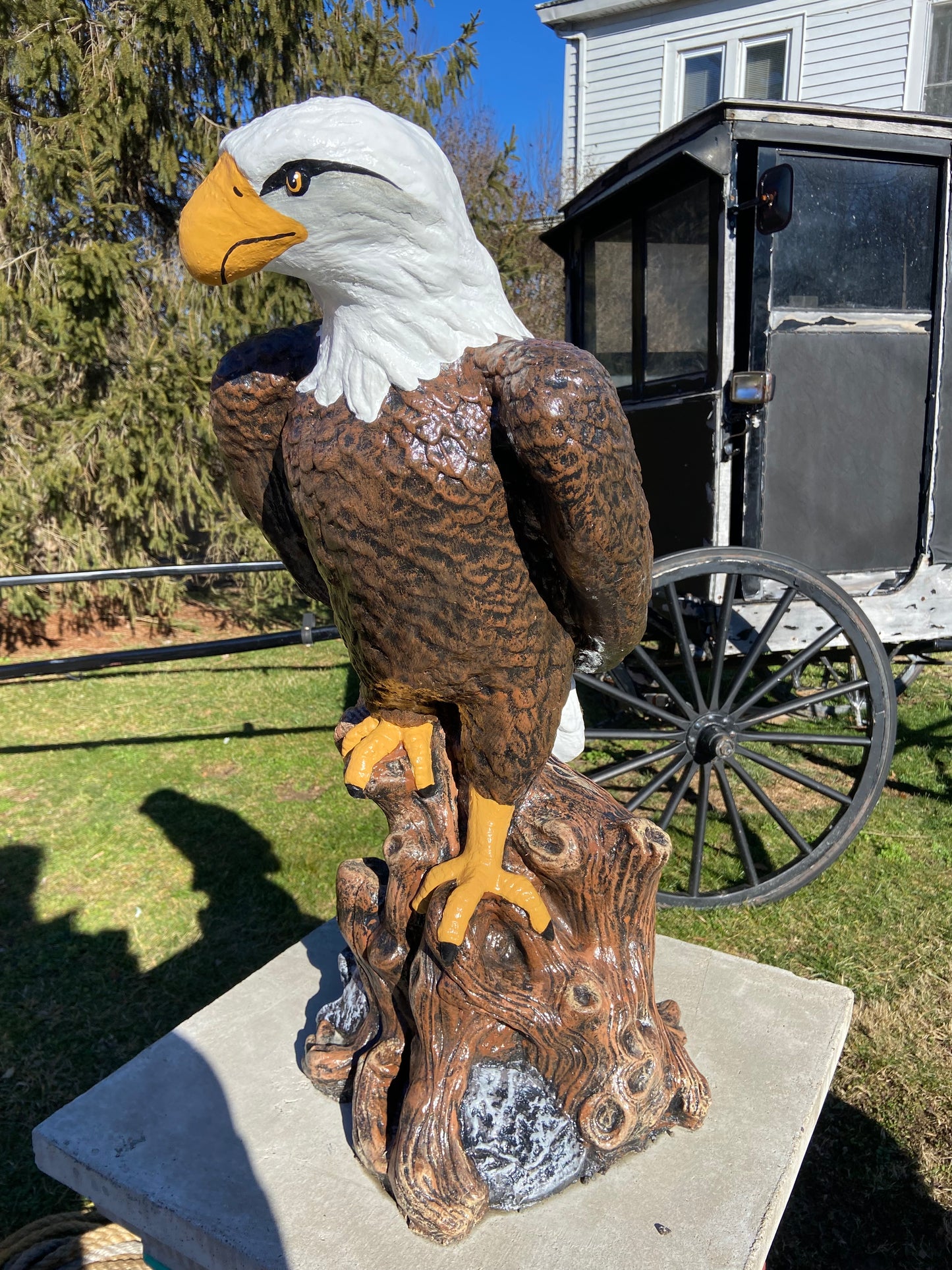 Large Eagle on Stump