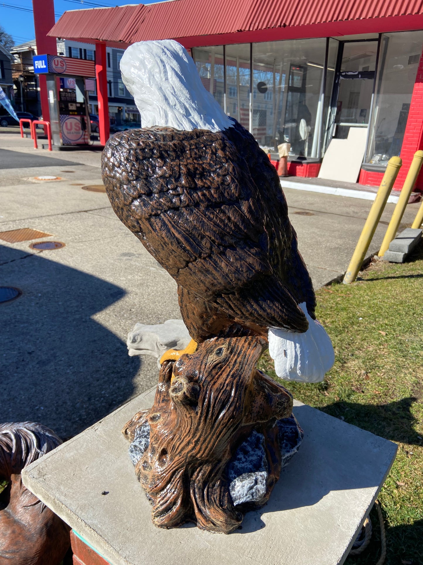 Large Eagle on Stump