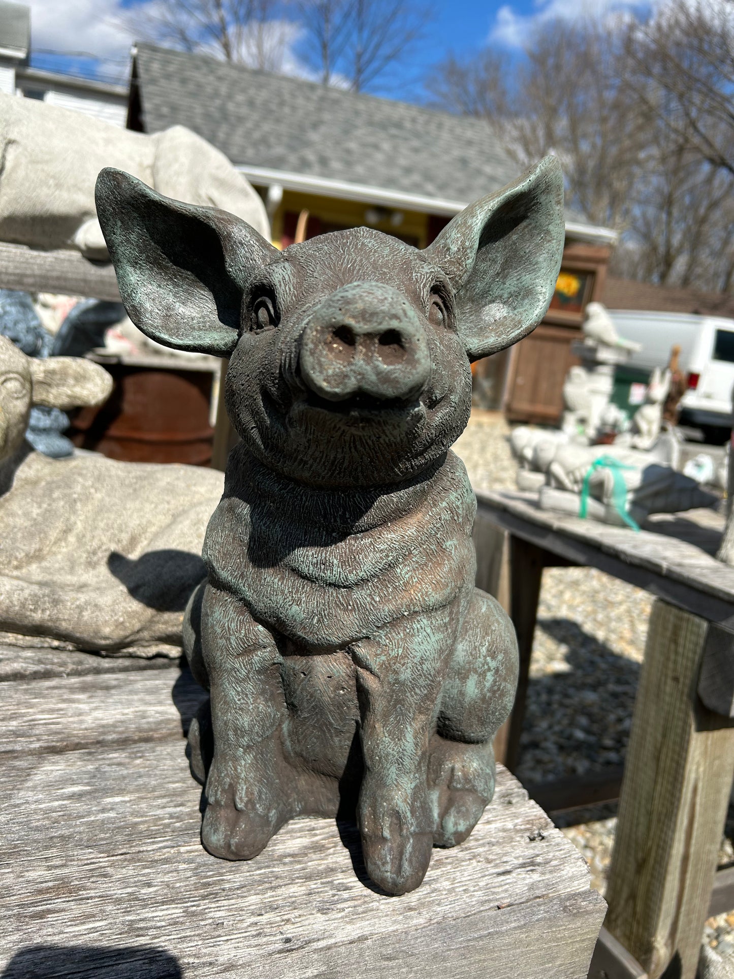 Arnold the Pig