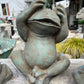 Frog: See No Evil