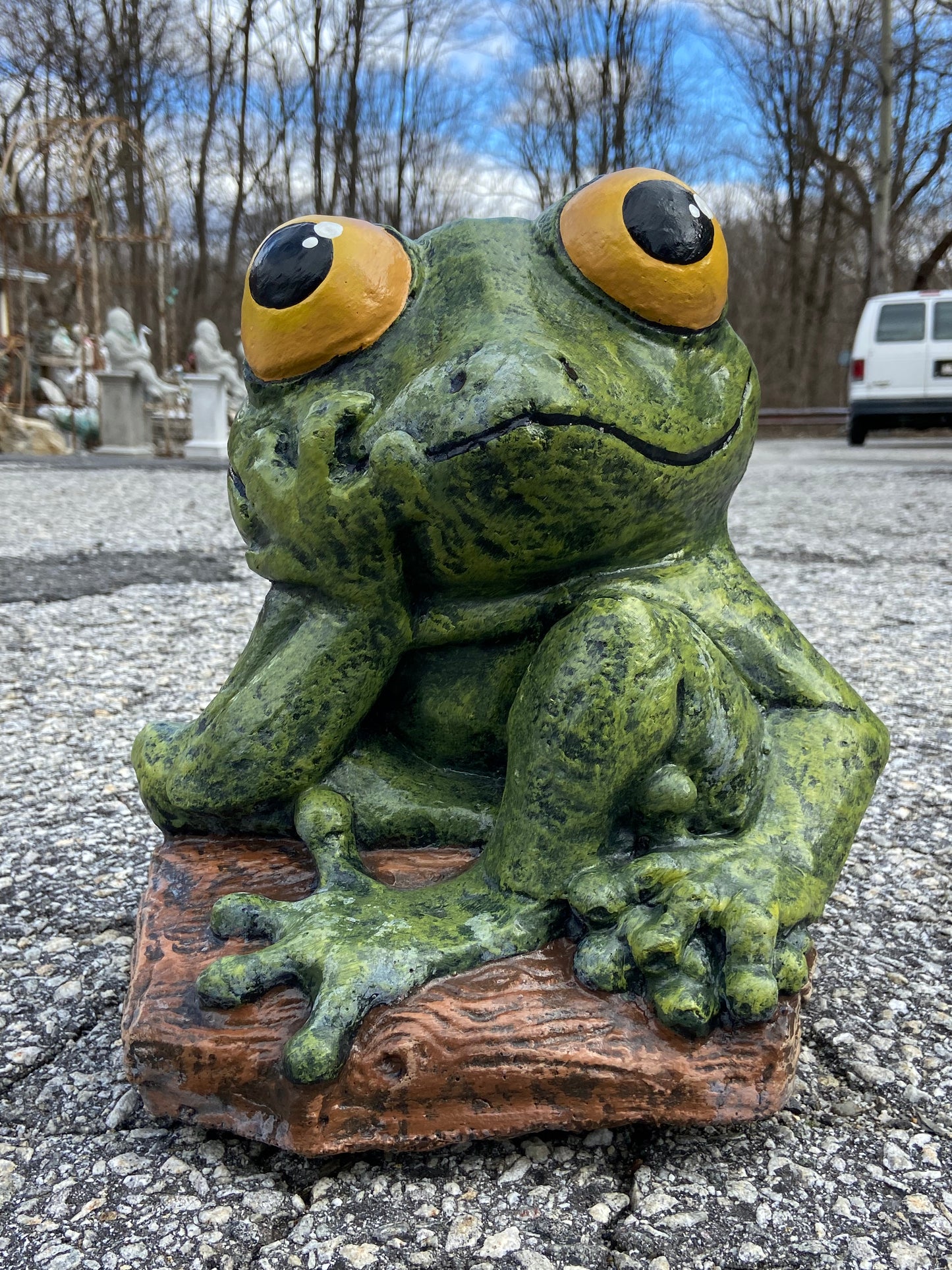 Big Eyed Frog