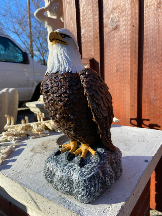 Sitting Eagle