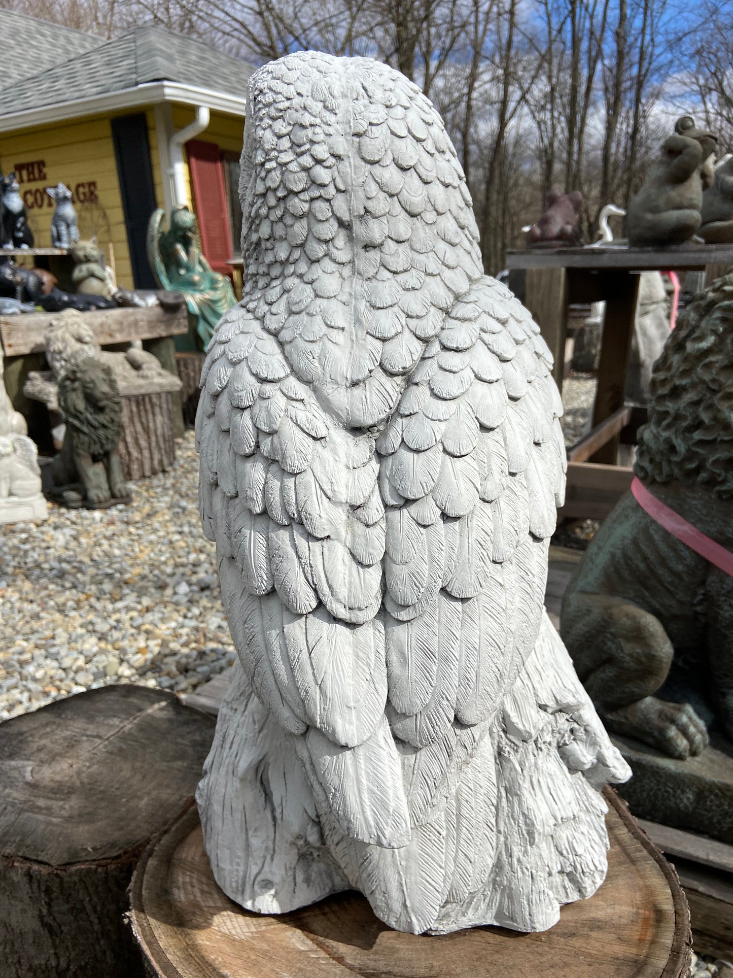 Large Owl