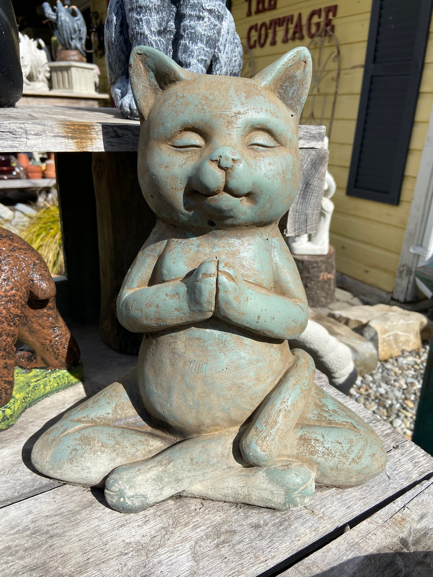 Large Zen Cat